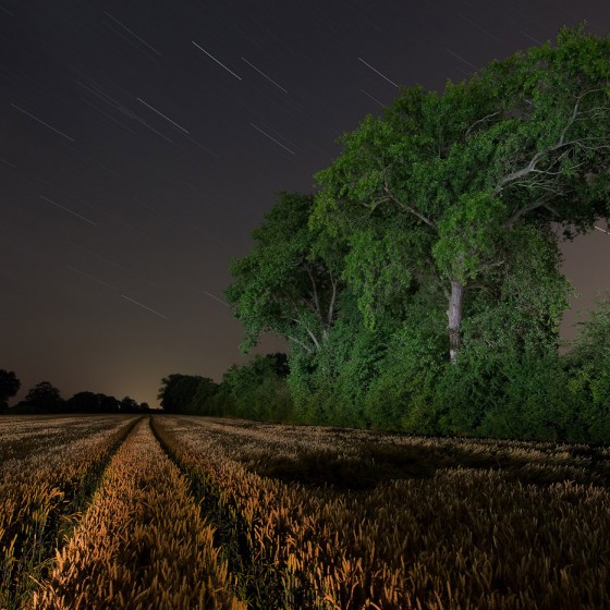 landscape-light-night-photography-green-trees-walther-pro-xl-3000r-cornfield-weyhe-germany